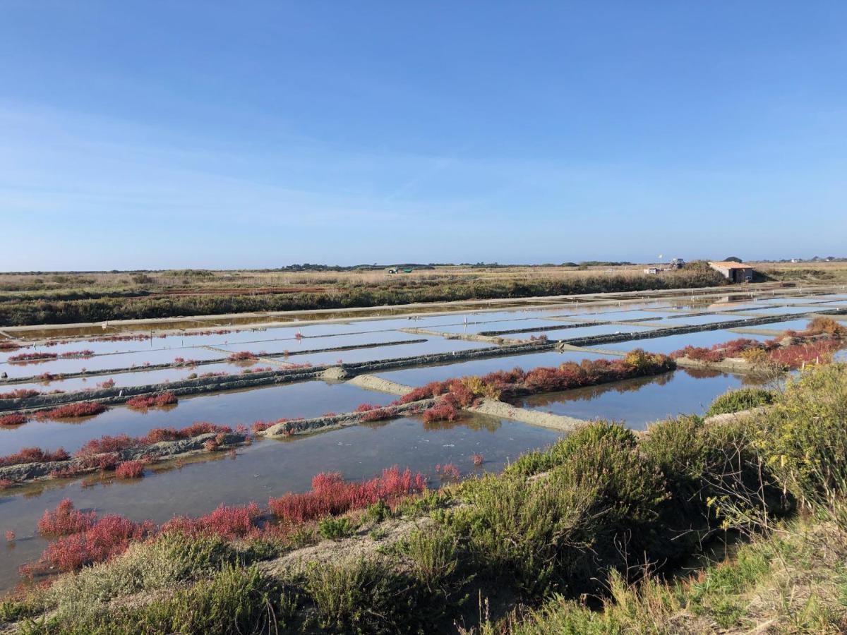 Les Pois Sont Verts La Rochelle  Esterno foto